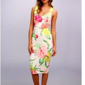 Ted baker midi dress